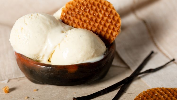 23009 Gelato Vaniglia