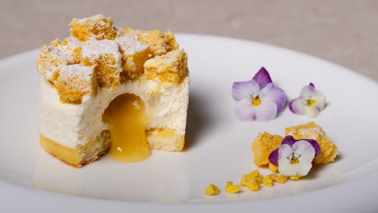 81721 Dessert Donna Interno