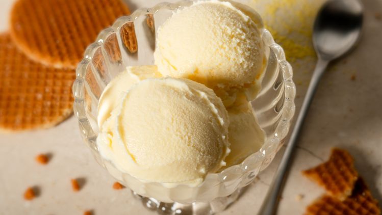 23002 Gelato Crema Tradizionale