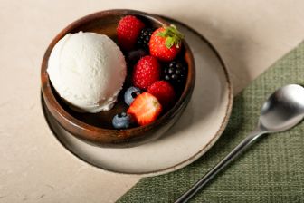 22008 Gelato Yogurt